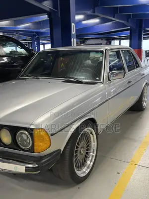 Mercedes-Benz W123 1979 Silver