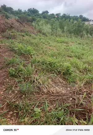 Massive Land Opportunity – Abokobi Sesemi