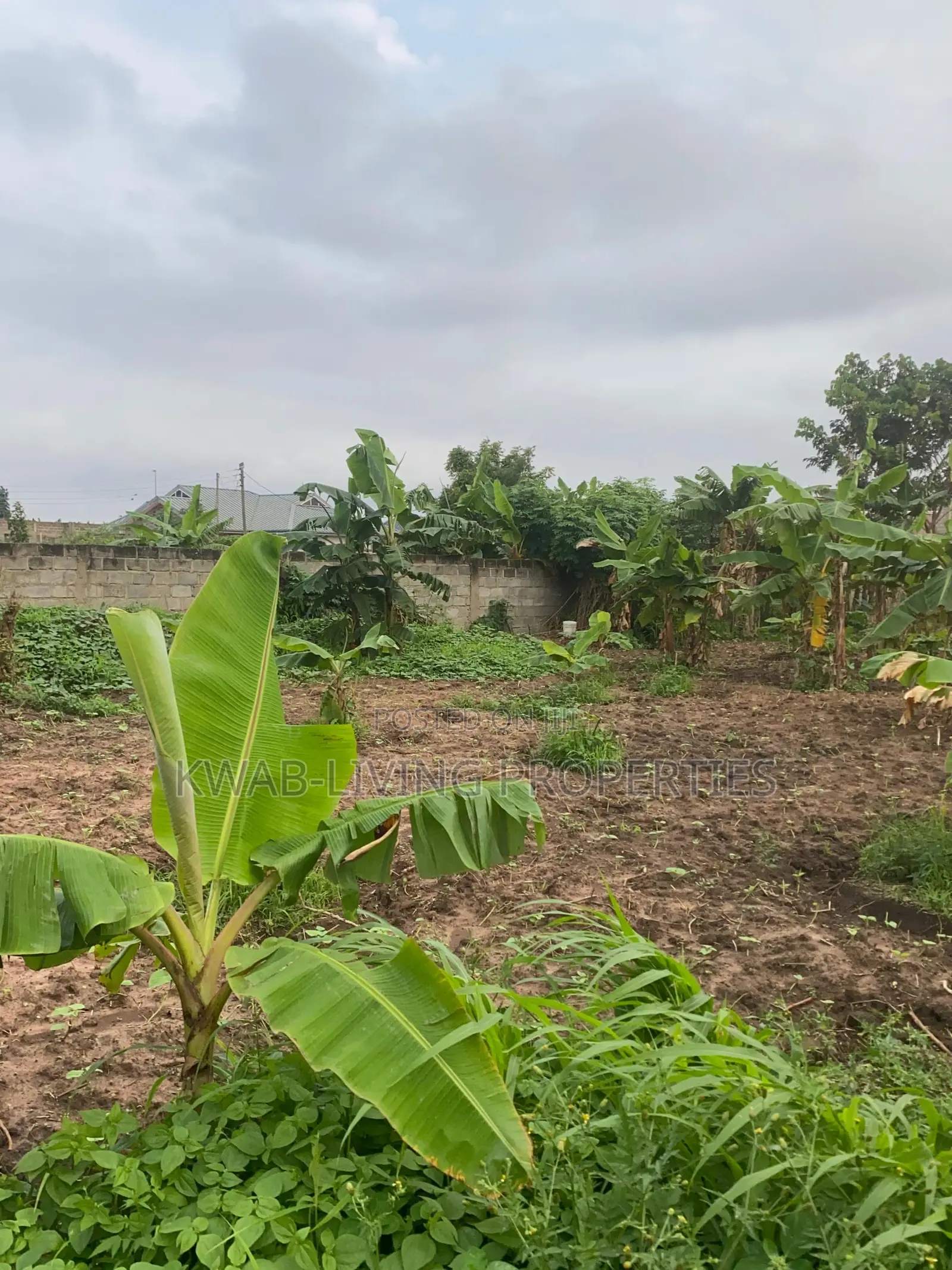 Land for Sale