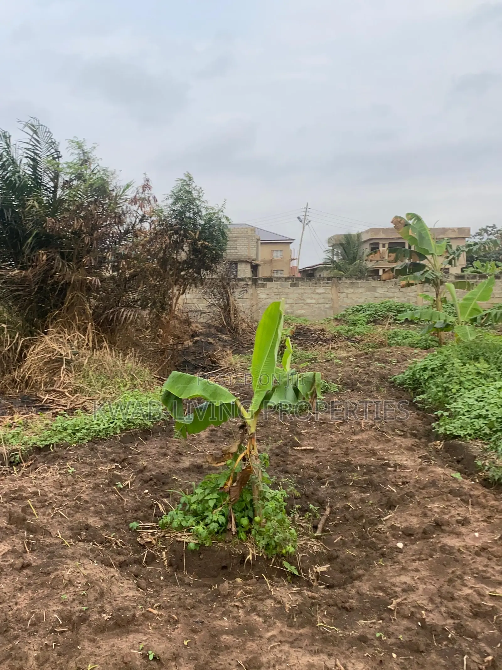 Land for Sale