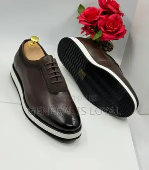 Berluti Dark Coffee Leather Men Easywear Shoe