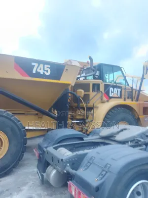Foreign Used Cat Adt 25cubic Dumper for Hot Sale