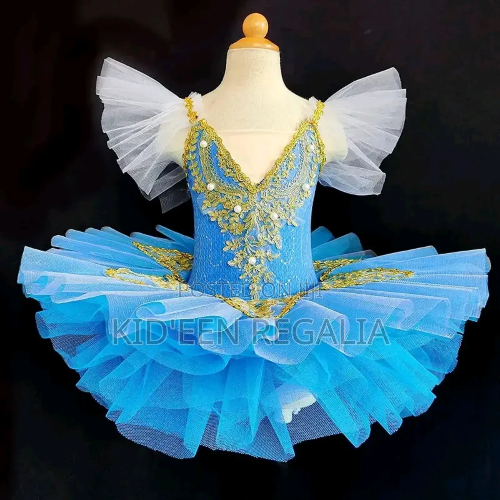 Ballet and Martial Arts Costumes