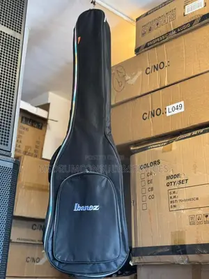 Bag for Bass Guitar