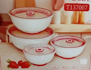 Ceramic Bowls With Plastic Lid