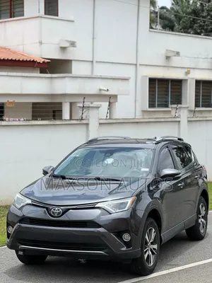 Toyota RAV4 XLE AWD (2.5L 4cyl 6A) 2017 Gray