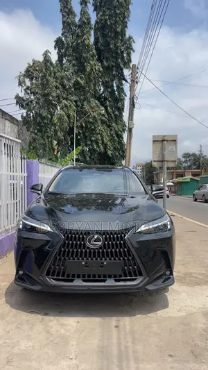 Lexus NX 2024 Black