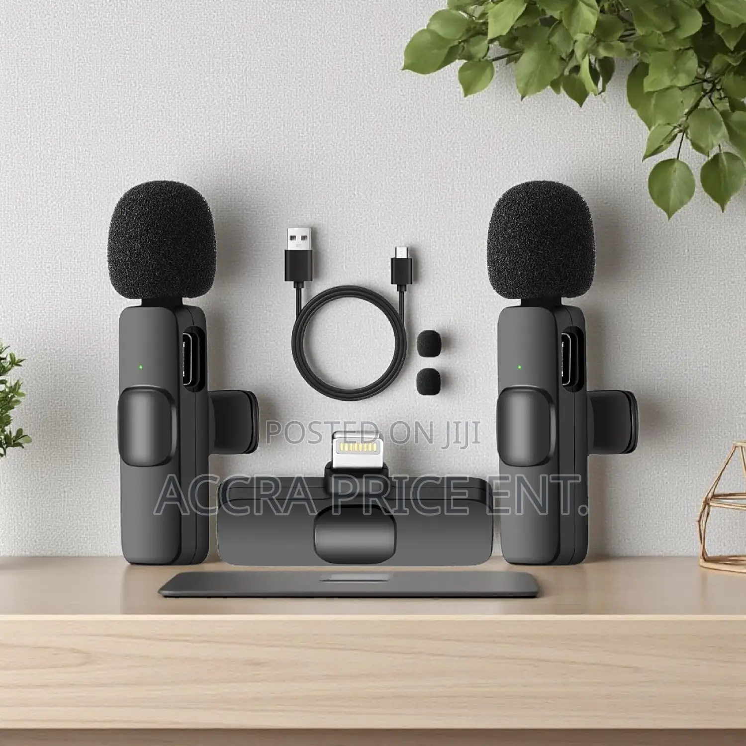 Long Battery Life 2 in 1 Microphone (543556)