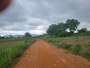 6000 Acres Available for Long Term Lease