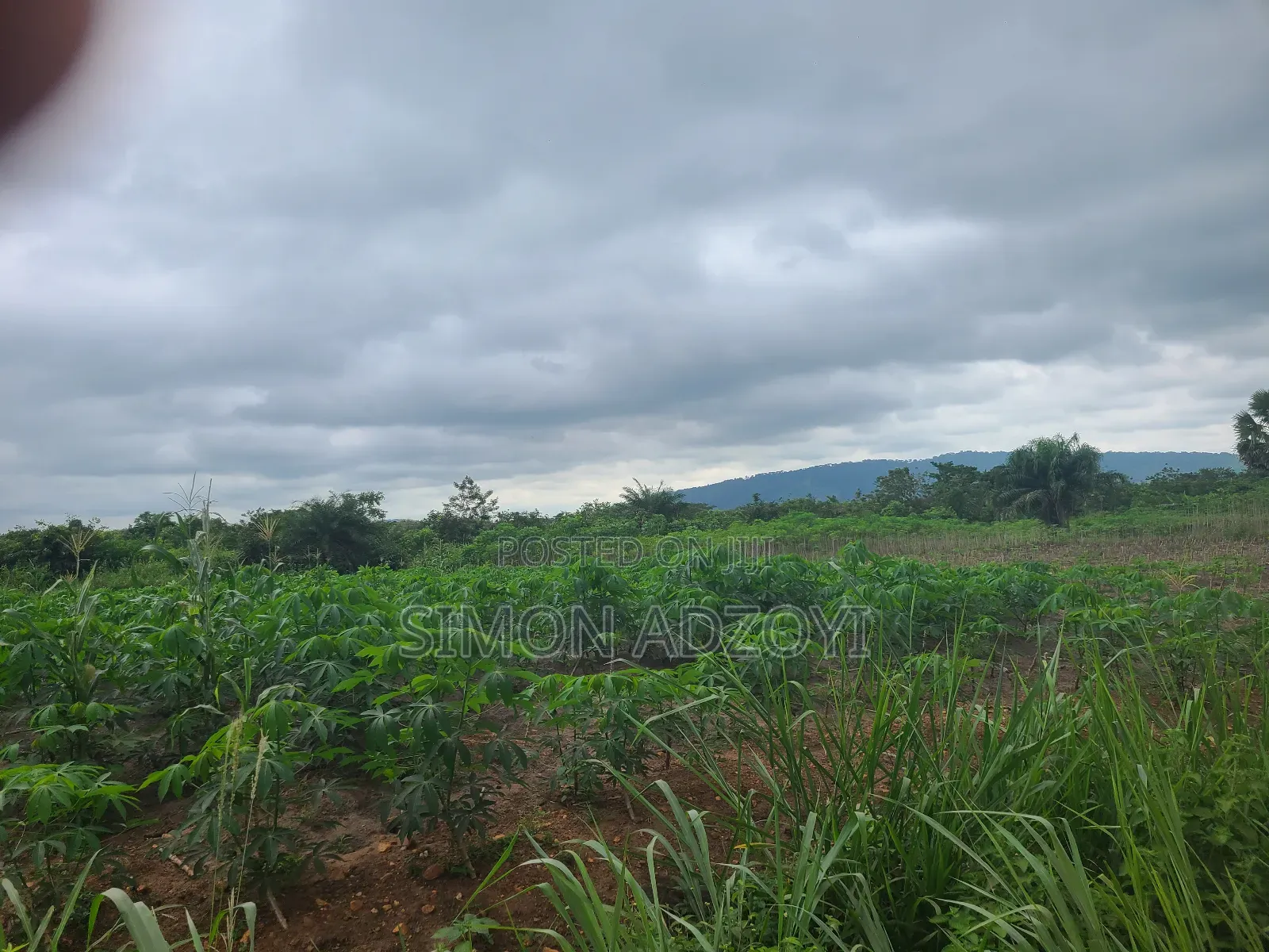 6000 Acres Available for Long Term Lease
