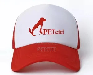 Hiring a Dispatch Rider