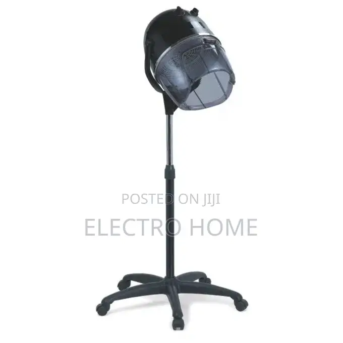 High Quality Delron Hair Dryer