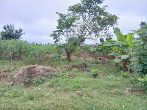 Land for Sale at Tech Apemso Near Knust Campus