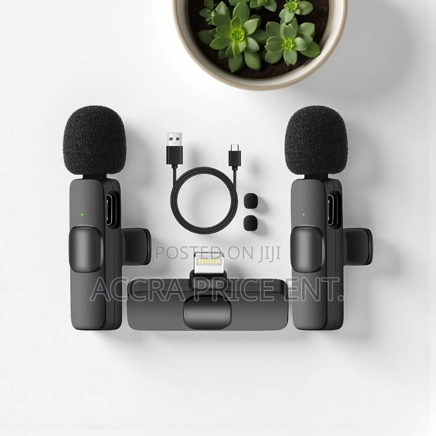 Wireless 2 in 1 Wireless Microphone (24564)