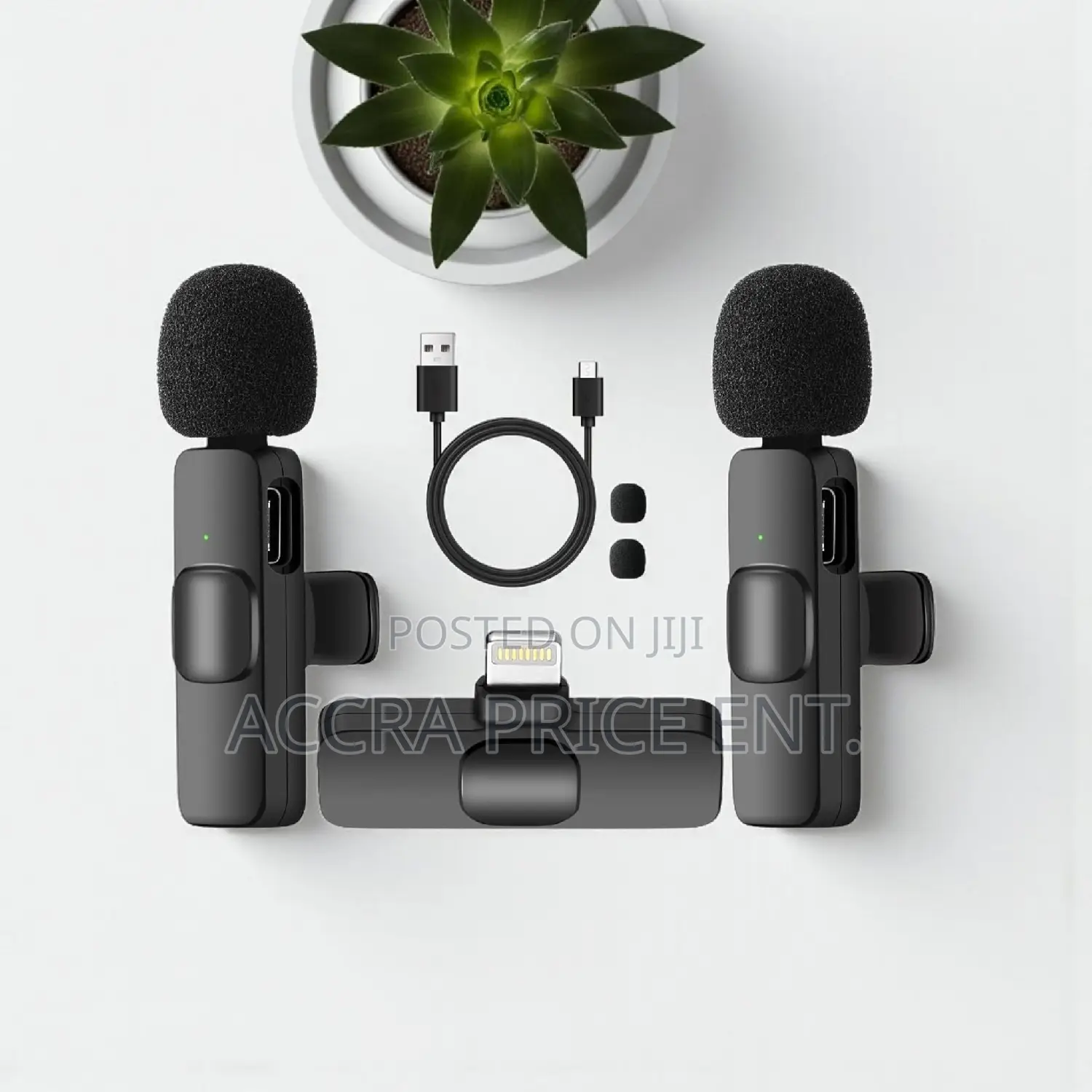 Original Wireless 2 in 1 Microphone (32166)