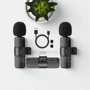 Original Wireless 2 in 1 Microphone (32166)