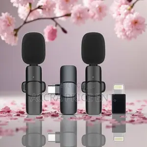 Original Wireless 2 in 1 Microphone (32166)