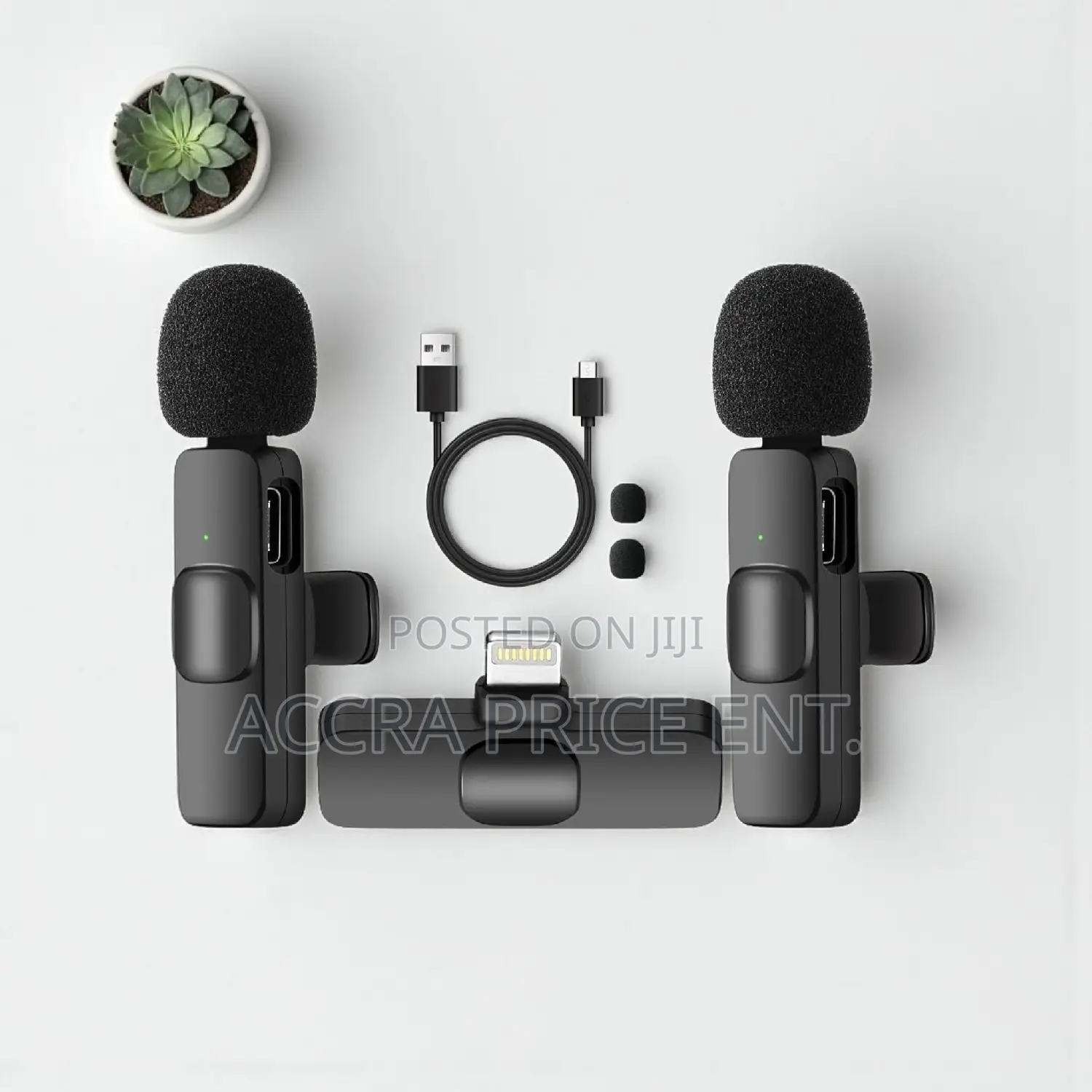 Portable/Mini/Wireless Microphone (2 in 1) 463245