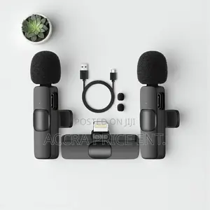 Portable/Mini/Wireless Microphone (2 in 1) 463245