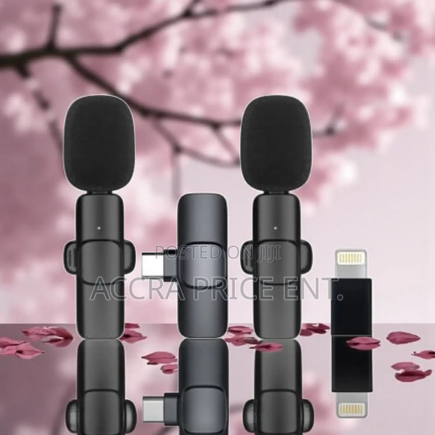 Portable/Mini/Wireless Microphone (2 in 1) 463245