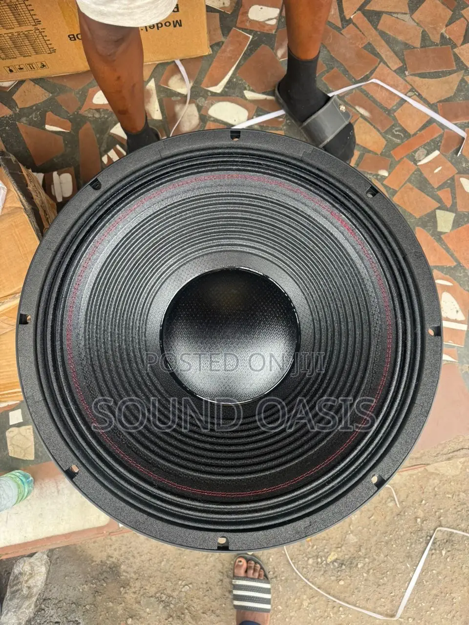 Jac (5000 Watts) 21 Inches Naked Speaker(Pair)