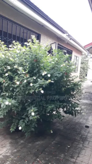 1bdrm Apartment in Haatso for rent