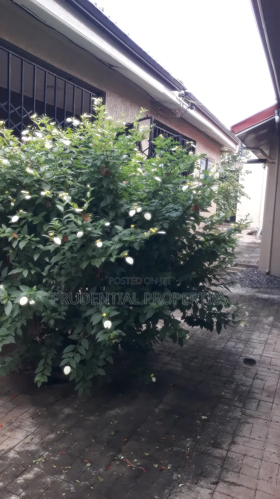 1bdrm Apartment in Haatso for rent