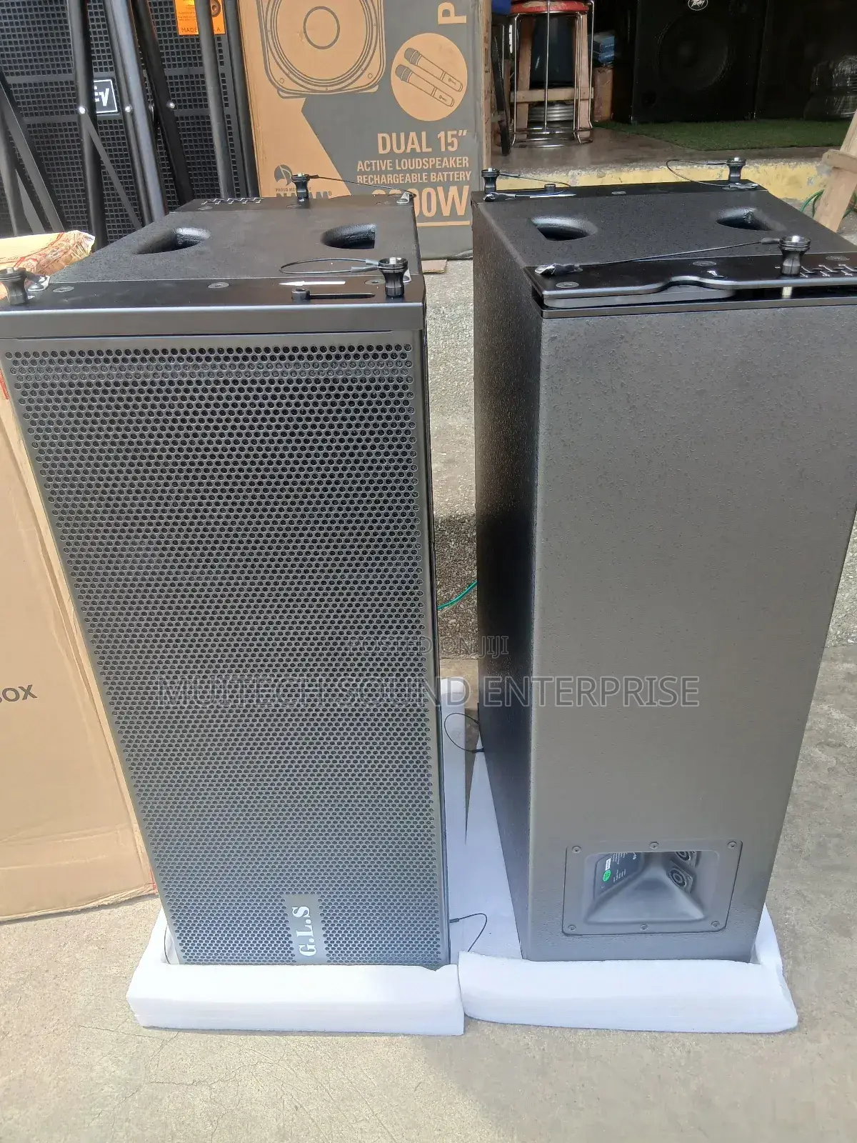 GLS Line Array Speaker ( 10inches)