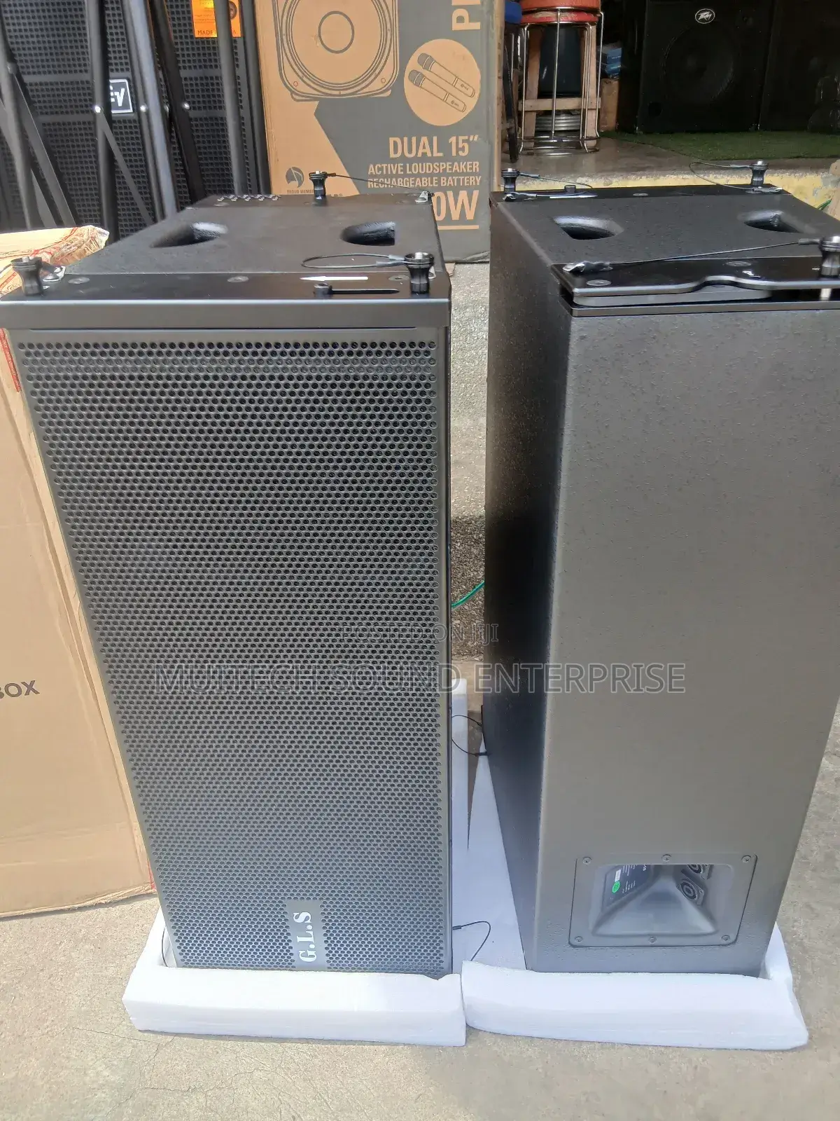 GLS Line Array Speaker ( 10inches)