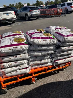 Kirkland Jasmine Rice(11.34kg)