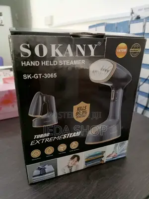 Hand Held Steamer Iron