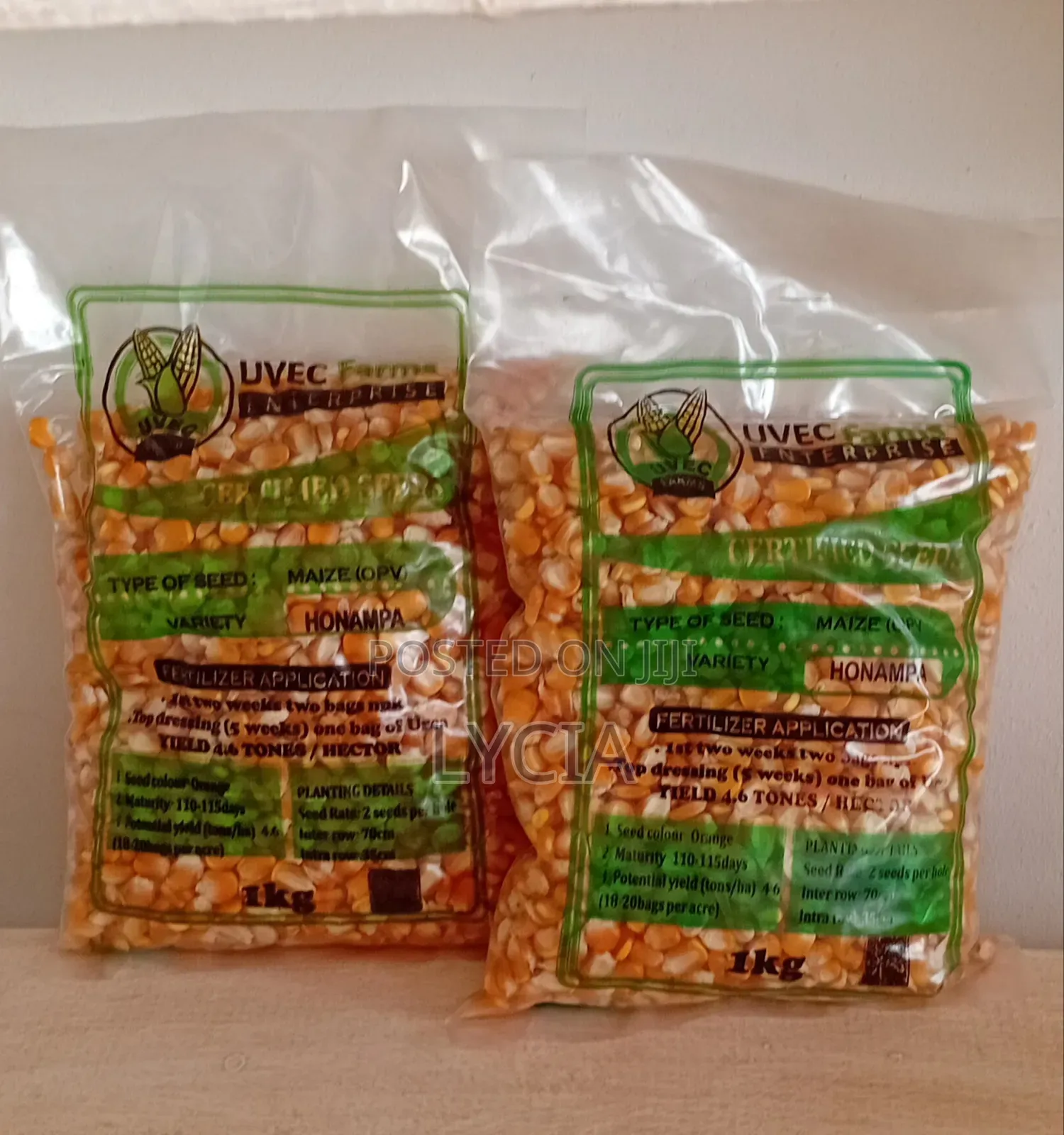 Honampa Maize Seeds