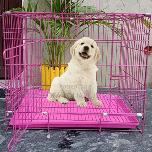 Strong Metallic Dog Cage for Puddles Maltese
