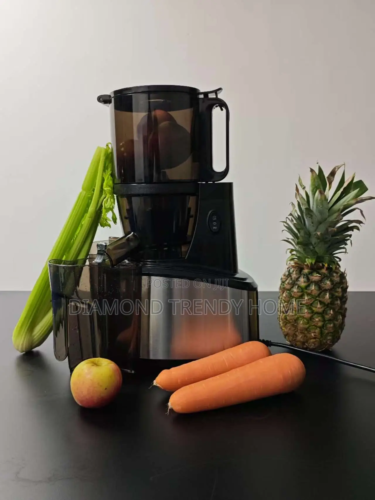 Electric Slow Juicer