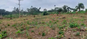 600 Plots of Land for Sale at Kwabere Kasaam With No Litigation