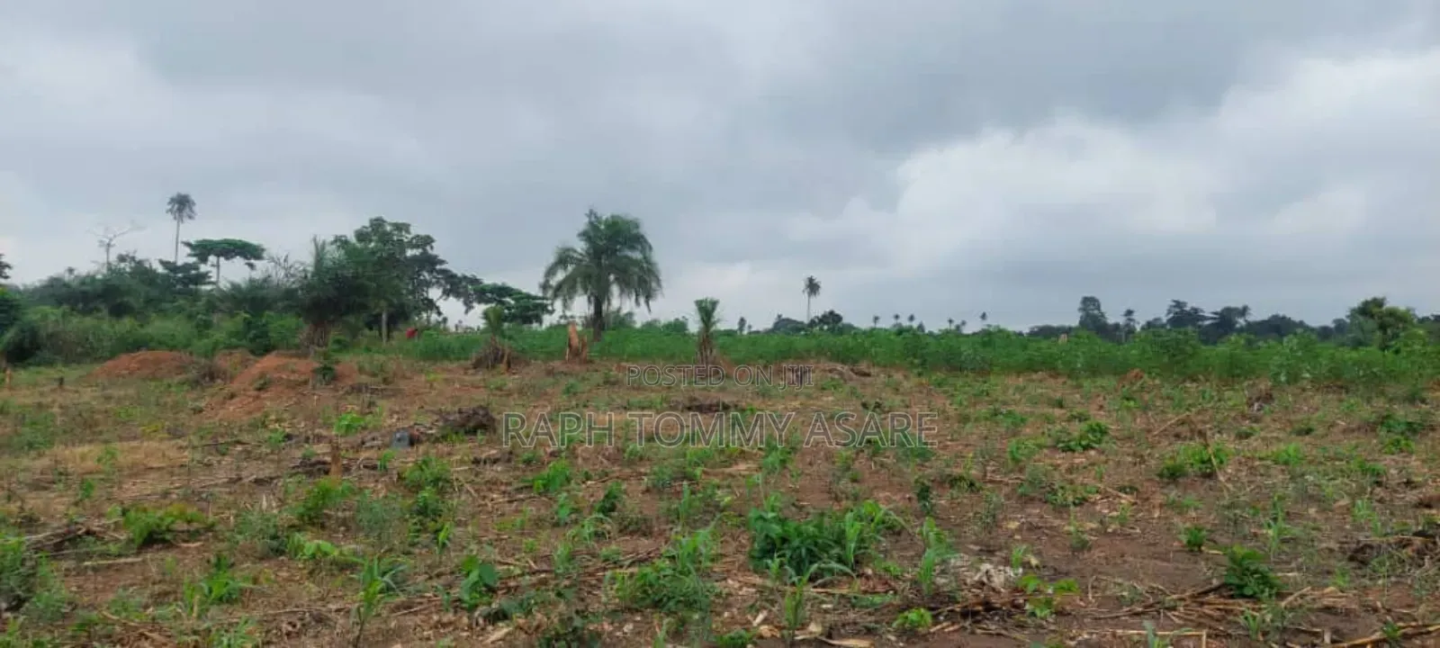 600 Plots of Land for Sale at Kwabere Kasaam With No Litigation
