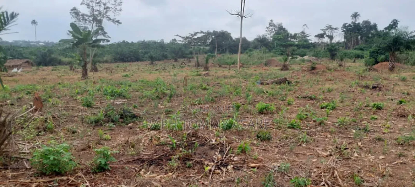 600 Plots of Land for Sale at Kwabere Kasaam With No Litigation