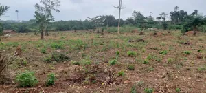 600 Plots of Land for Sale at Kwabere Kasaam With No Litigation