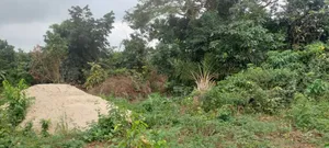 600 Plots of Land for Sale at Kwabere Kasaam With No Litigation