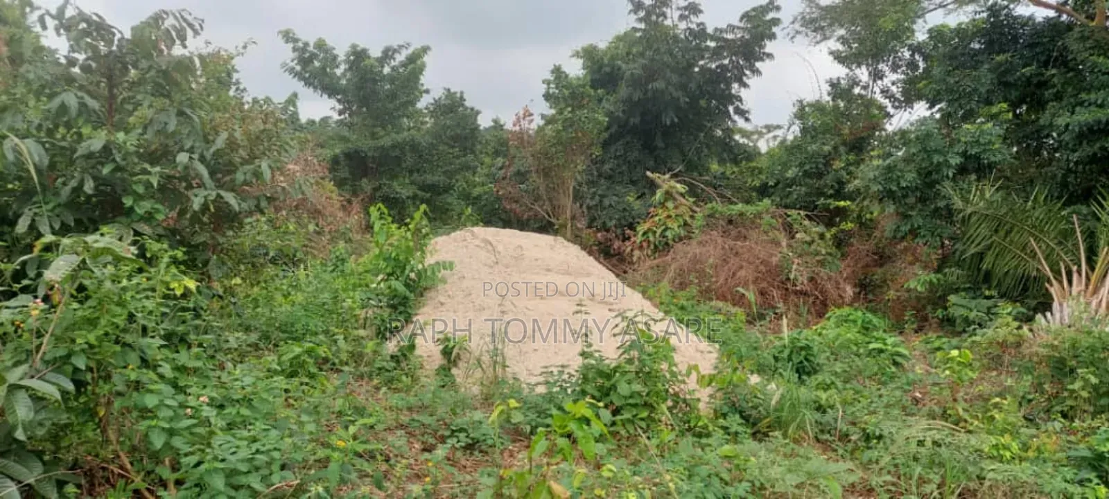600 Plots of Land for Sale at Kwabere Kasaam With No Litigation