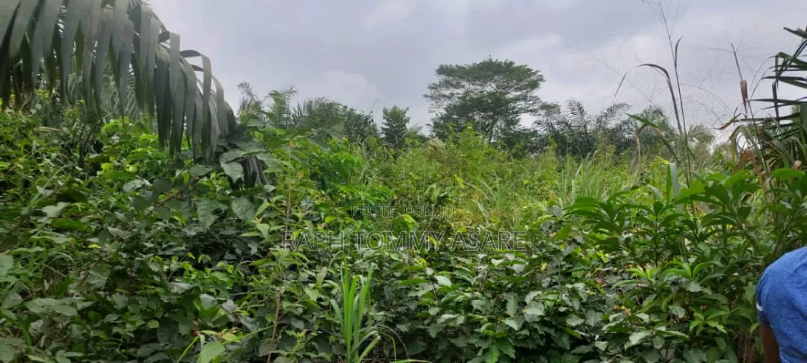 600 Plots of Land for Sale at Kwabere Kasaam With No Litigation