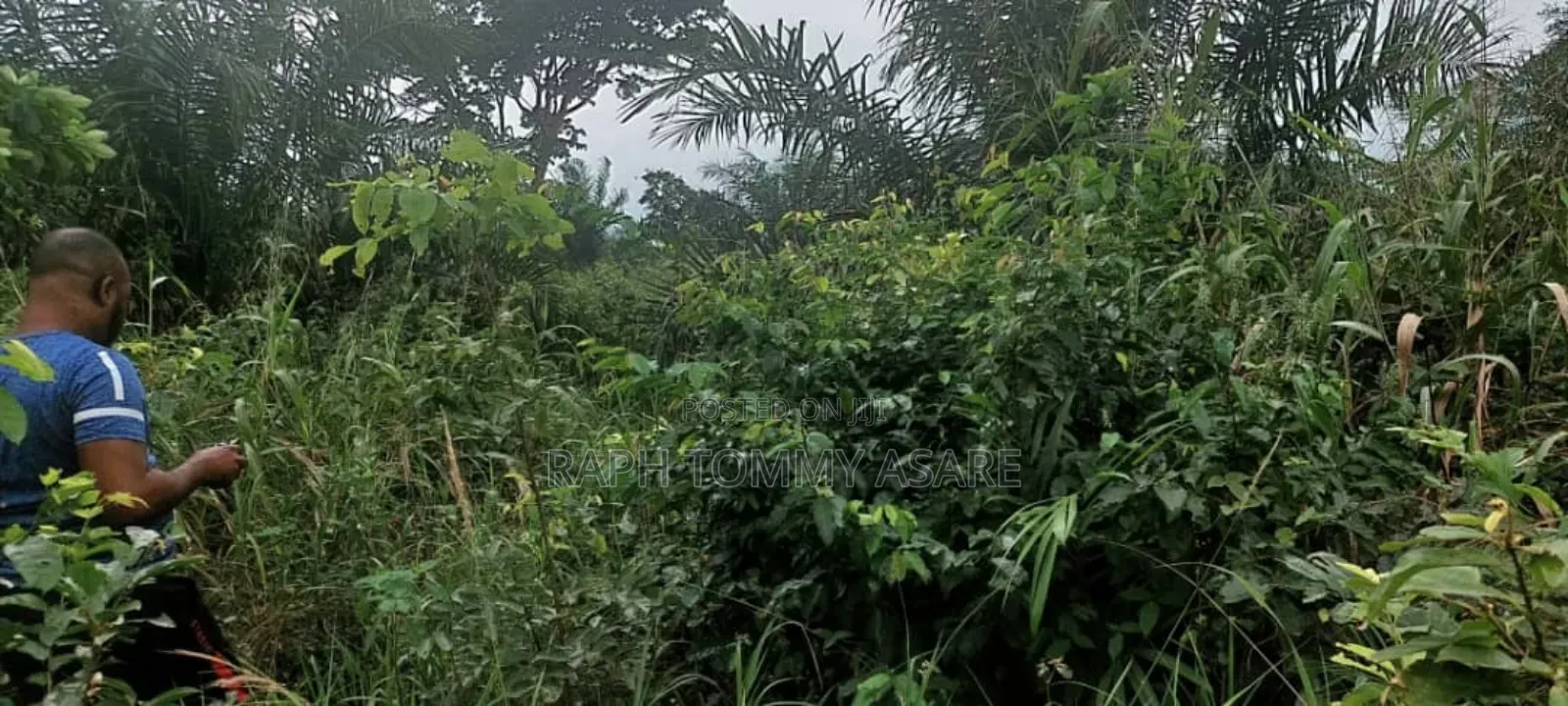 600 Plots of Land for Sale at Kwabere Kasaam With No Litigation