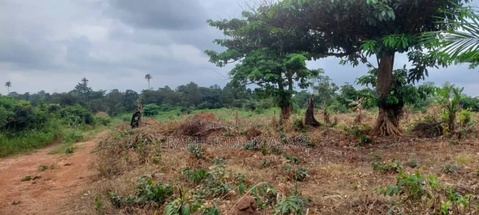 600 Plots of Land for Sale at Kwabere Kasaam With No Litigation