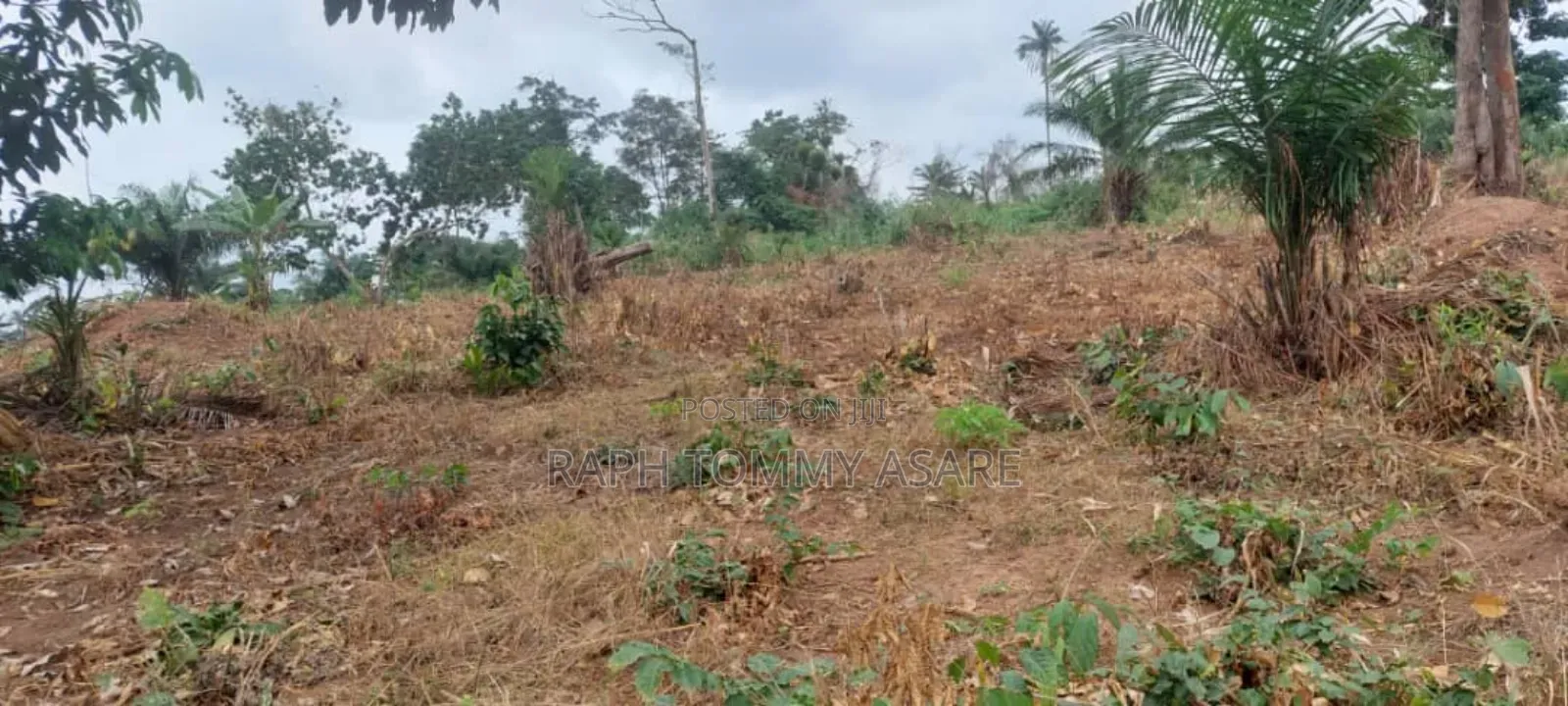 600 Plots of Land for Sale at Kwabere Kasaam With No Litigation