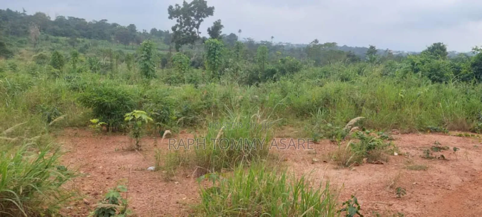 600 Plots of Land for Sale at Kwabere Kasaam With No Litigation