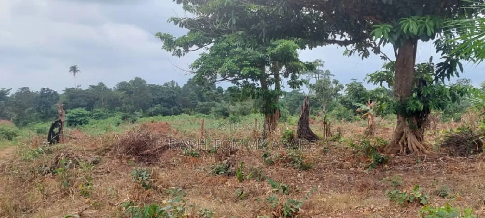 600 Plots of Land for Sale at Kwabere Kasaam With No Litigation