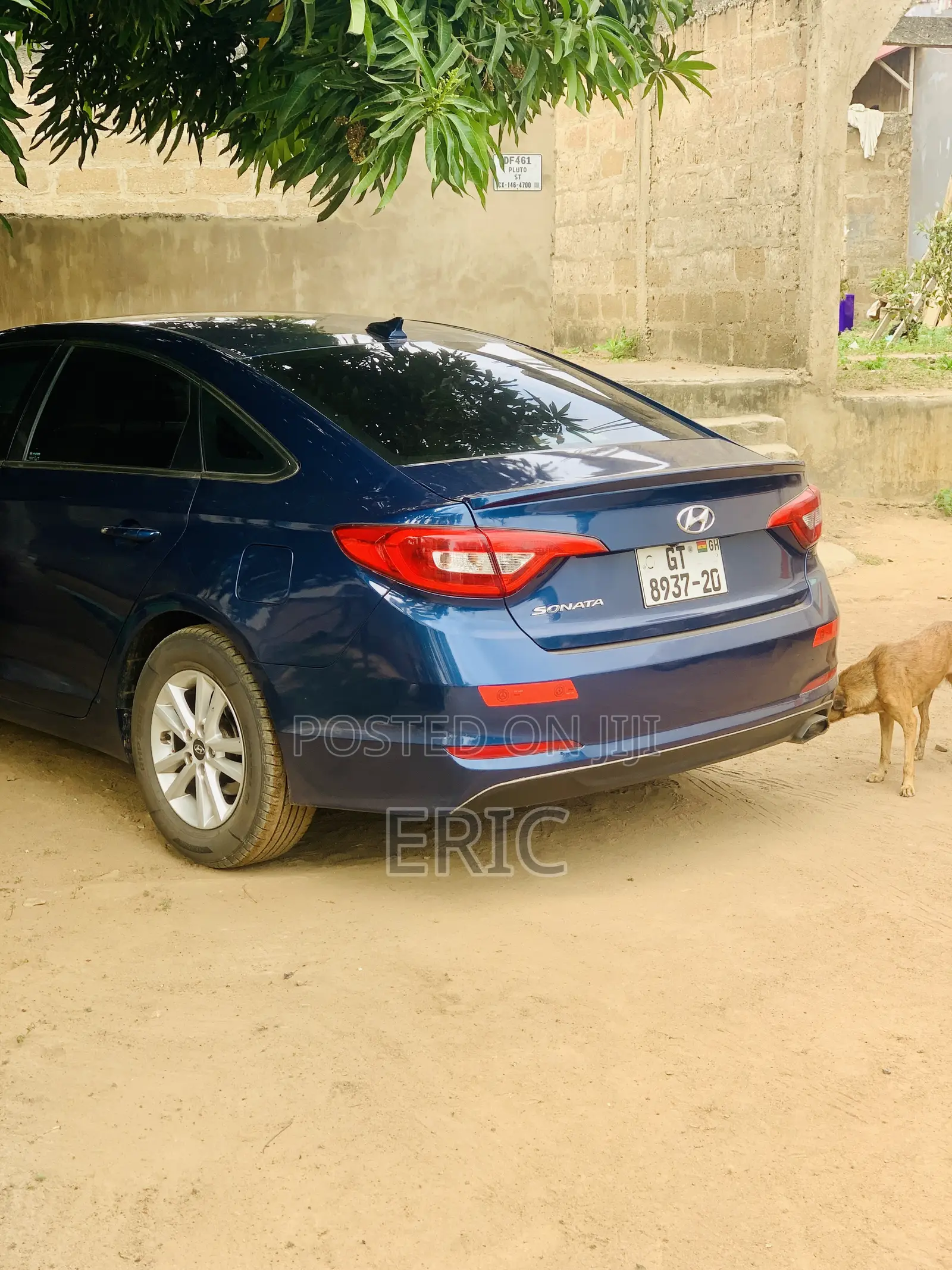 Car Rental Services