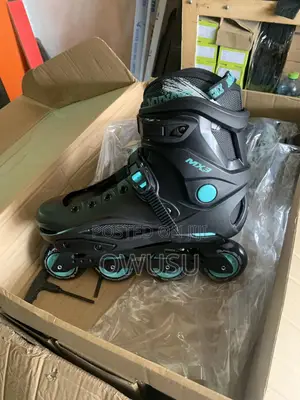 Roller Skates