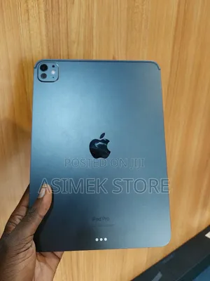 Apple iPad Pro 11 (2024) 256 GB Gray