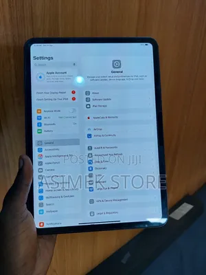 Apple iPad Pro 11 (2024) 256 GB Gray